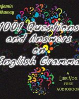 1001 Questions and Answers on English Grammar cover