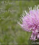 Few Figs from Thistles cover