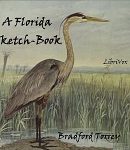 Florida Sketch-Book cover