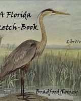 Florida Sketch-Book cover