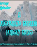 Thousand Degrees Below Zero cover