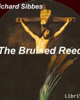 The Bruised Reed cover