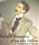 Second Thoughts Of An Idle Fellow cover