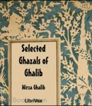 Selected Ghazals of Ghalib cover