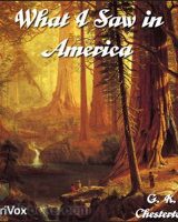 What I Saw in America cover