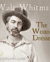 The Wound Dresser cover