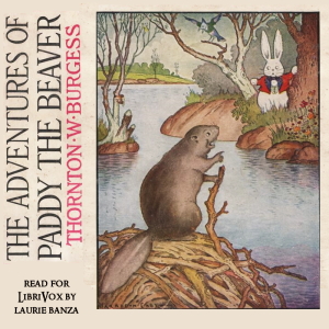 Adventures of Paddy the Beaver (Version 2) cover