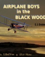 Airplane Boys in the Black Woods cover