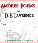 Amores: Poems cover