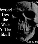 Beyond Lies the Wub & The Skull cover