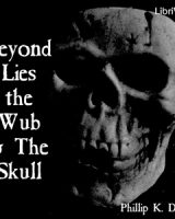 Beyond Lies the Wub & The Skull cover