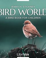 Bird World: A Bird Book for Children cover