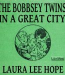 Bobbsey Twins in a Great City cover