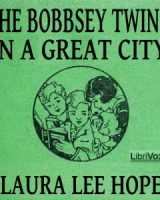 Bobbsey Twins in a Great City cover