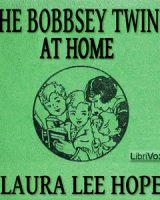 Bobbsey Twins at Home cover