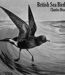 British Sea Birds cover