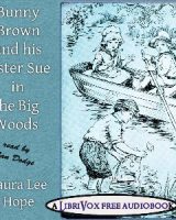 Bunny Brown and His Sister Sue in the Big Woods cover