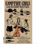 Camp-Fire Girls In The Allegheny Mountains or, A Christmas Success Against Odds cover