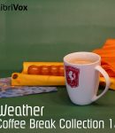 Coffee Break Collection 013 - Weather cover