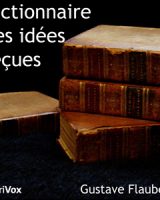 Dictionnaire des idées reçues cover