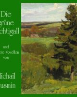 grüne Nachtigall und andere Novellen cover