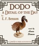 Dodo: A Detail of the Day cover