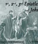 Bible (YLT) NT 23-25: Epistles of John cover