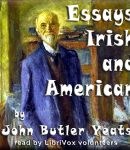 Essays Irish and American cover