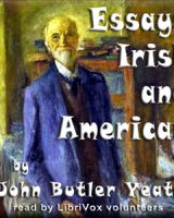 Essays Irish and American cover