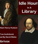 Idle Hours In A Library cover