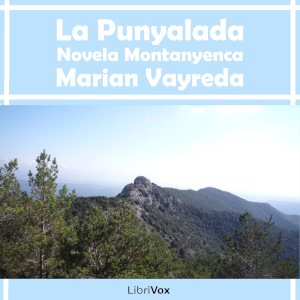 punyalada. Novela Montanyenca cover