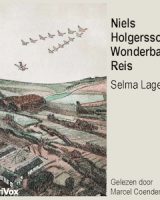 Niels Holgersson's Wonderbare Reis cover