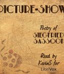 Picture-Show cover