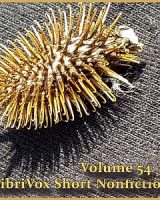 Short Nonfiction Collection, Vol. 054 cover