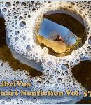 Short Nonfiction Collection, Vol. 057 cover