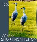 Short Nonfiction Collection, Vol. 090 cover