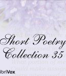 Short Poetry Collection 035 cover