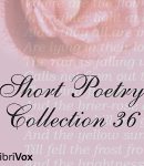 Short Poetry Collection 036 cover