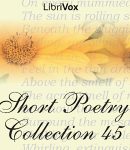 Short Poetry Collection 045 cover