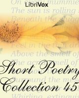 Short Poetry Collection 045 cover