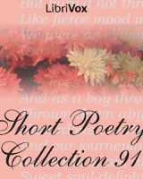 Short Poetry Collection 091 cover