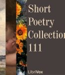 Short Poetry Collection 111 cover