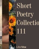 Short Poetry Collection 111 cover