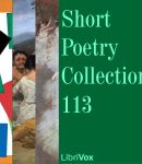 Short Poetry Collection 113 cover