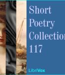 Short Poetry Collection 117 cover