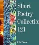 Short Poetry Collection 121 cover