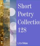 Short Poetry Collection 128 cover