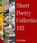 Short Poetry Collection 132 cover