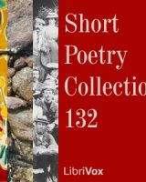 Short Poetry Collection 132 cover