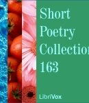 Short Poetry Collection 163 cover